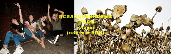 кокаин колумбия Алексин