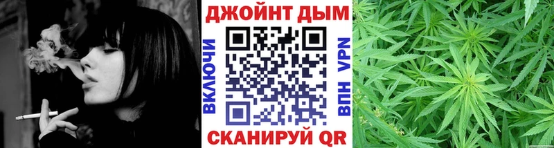 Купить где Нестеровская Конопля SATIVA & INDICA